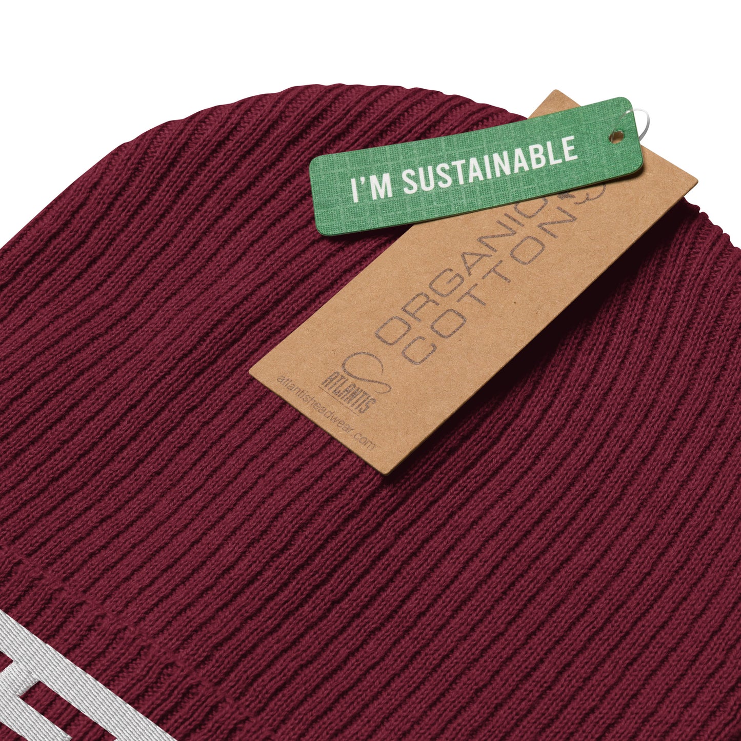 TET Organic Ribbed Beanie